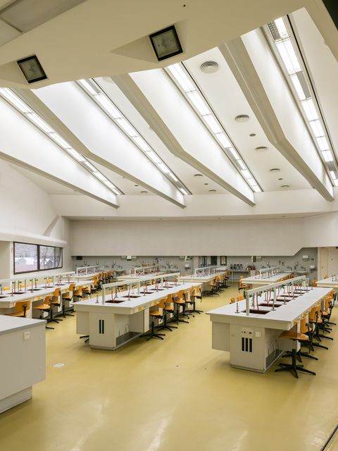 Institut für Hygiene & Mikrobiologie