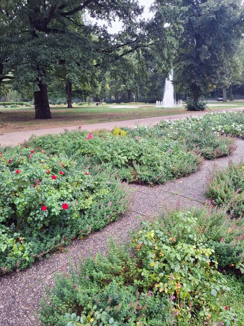 Der Rosengarten im Treptower Park (Bild: Landesdenkmalamt Berlin, Leonie Glabau)