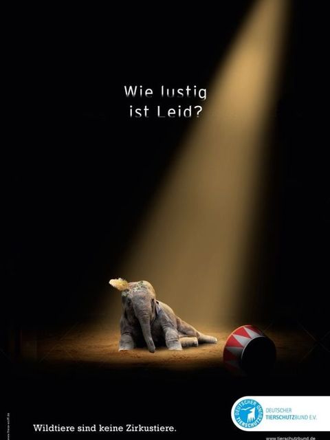Mit einer Kampagne und diesem Motiv mit einem Elefanten macht der Deutsche Tierschutzbund auf das Leid der Wildtiere im Zirkus aufmerksam. (Bild: Deutscher Tierschutzbund)