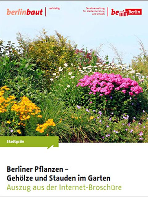 Titelbild gedruckte Broschüre (Bild: Pflanzenschutzamt Berlin)