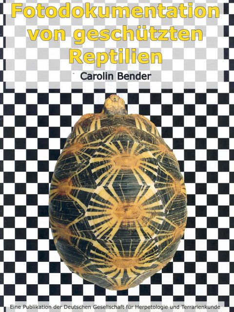 Fotodokumentation von besonders geschützten Reptilien (Bild: Caroline Bender)