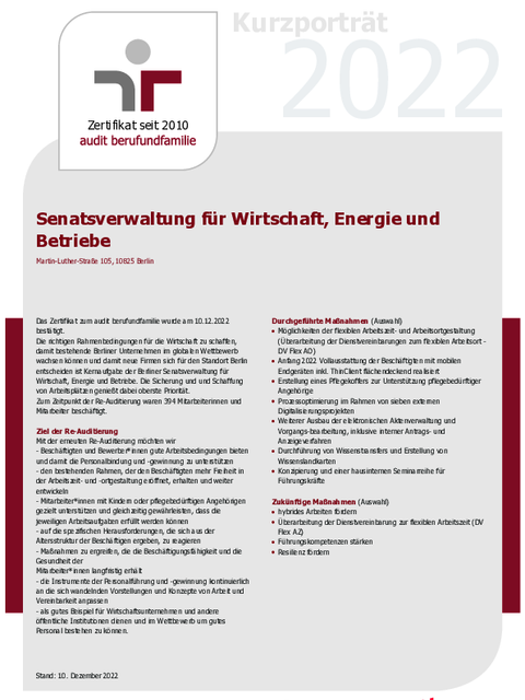 auditberufundfamilie Kurzportrait 2022