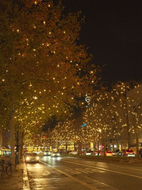 Beleuchtete Allee