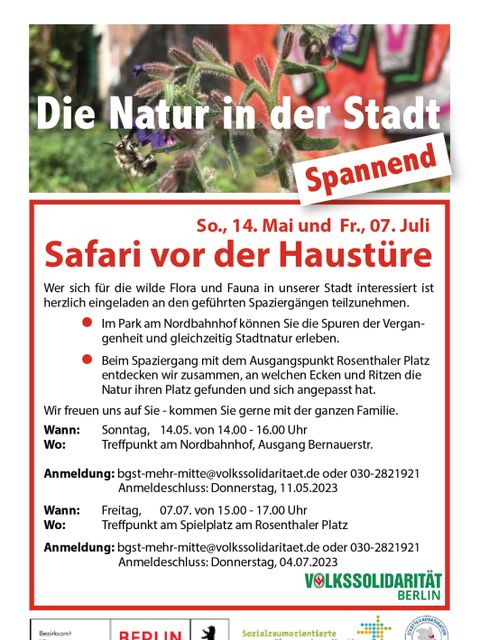 Flyer_Safari-vor-der-Haustuere