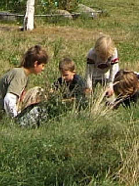 Kinder spielen lernen Natur