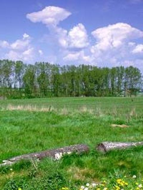 Barnim Natur