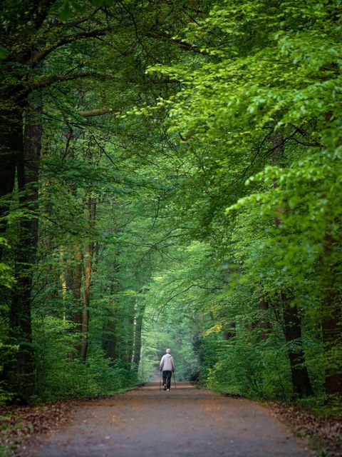 Mann im Wald