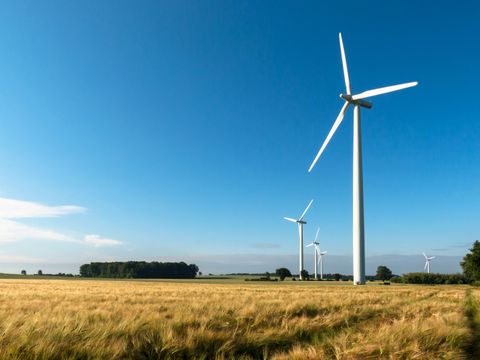 Windpark, Wiindrad auf Feld_ adobestock_42681216