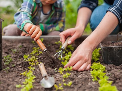 Kind und Mutter bei der Gartenarbeit im Gemüsegarten im Hinterhof