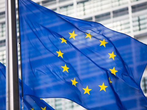 wehende Europaflagge