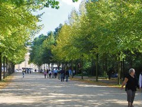 Tiergarten03