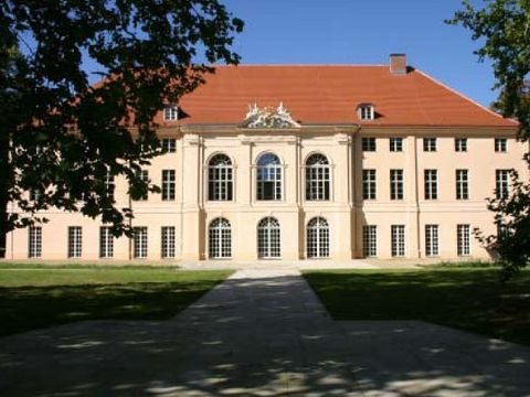Schoenhasen Top