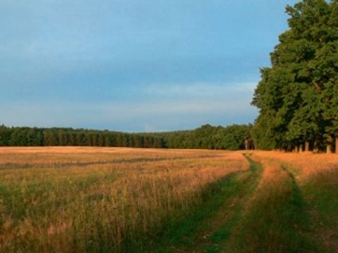 Im Herzen Der Natur01