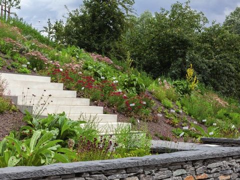 Die blühenden Steingärten an den Kienbergterrassen