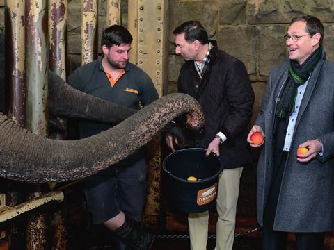 Der Regierende Bürgermeister im Tierpark Berlin beim Aktionstag „Berlin sagt Danke!“