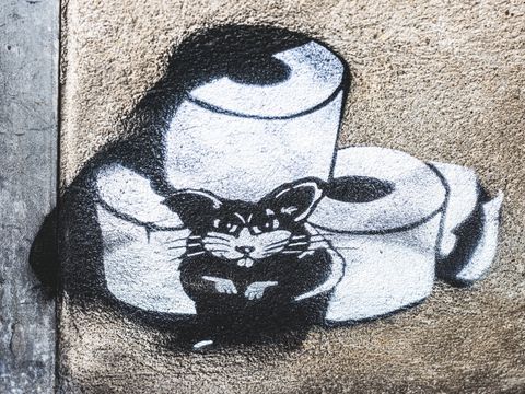 Ein Künstlerkommentar zu Hamsterkäufen von Toilettenpapier