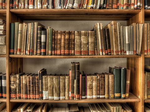 Ausschnitt der zum Archiv gehörenden Bibliothek im Böhmischen Dorf
