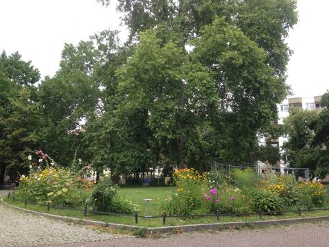 bepflanzte Beete am Nikolsburger Platz