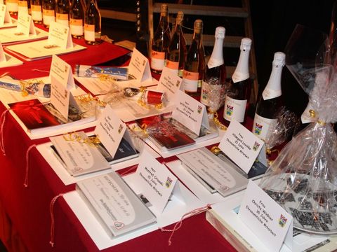 Dankeschoenfeier 2013