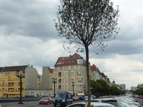 Gedenktafel und Baum für Giuseppe Marcone, 24.6.2013, Foto: KHMM