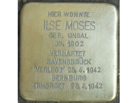 Stolperstein Ilse Moses (Bild: Stolpersteine-Initiative CW, Hupka)