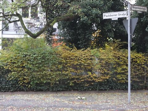 Verlegeort Wangenheimstr. 41/ Paulsborner Str. (Bild: Stolpersteine-Initiative CW, Hupka)