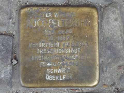 Stolperstein Alice Peltesohn, 28.11.2014 (Bild: Bezirksamt, KHMM)