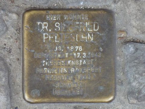 Stolperstein Dr. Siegfried Peltesohn, 28.11.2014 (Bild: Bezirksamt, KHMM)