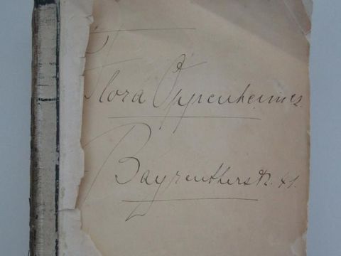 Wörterbuch „Dictionnaire Francais-Allemand et Allemand-Francais“, 1887