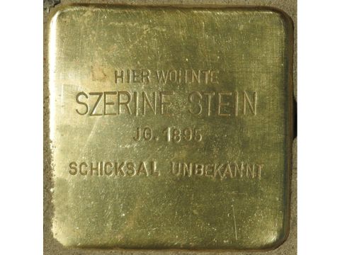 Stolperstein für Szerine Stein