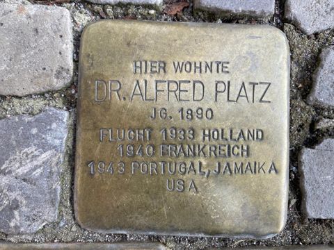 Stolperstein für Dr. Alfred Platz