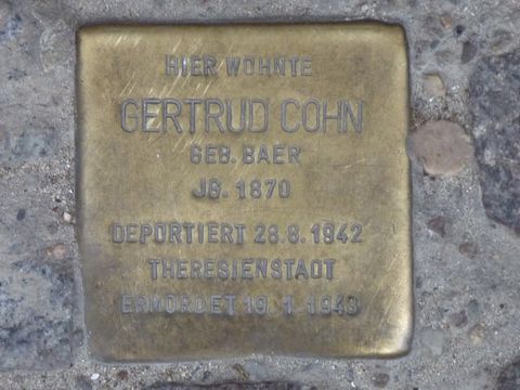 Stolperstein für Gertrud Cohn
