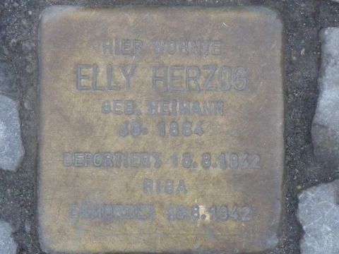 Stolperstein für Elly Herzog, 27.2.2013