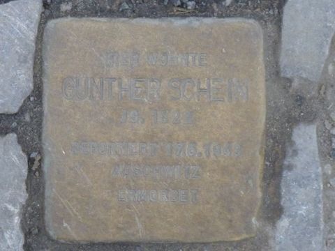 Stolperstein für Günter Schein, 27.2.2013