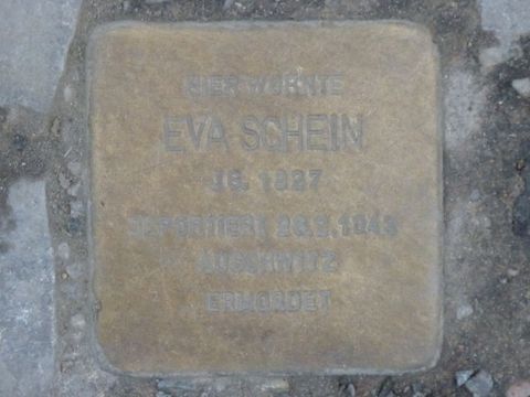 Stolperstein für Eva Schein, 27.2.2013