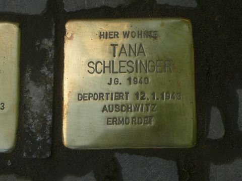 Stolperstein Tana Schlesinge (Bild: Wolfgang Knoll)
