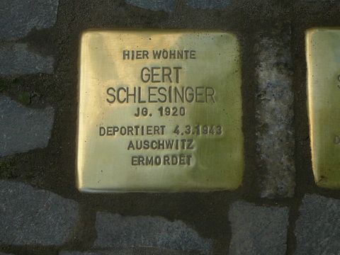 Stolperstein Gert Schlesinger (Bild: Wolfgang Knoll)