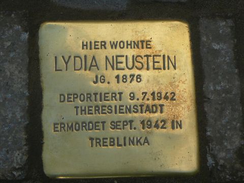 Stolperstein für Lydia Neustein (Bild: Wolfgang Knoll)