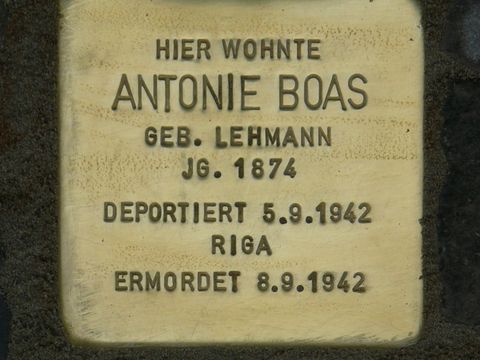 Stolperstein für Antonie Boas