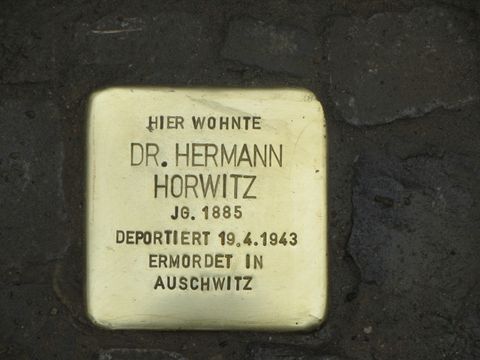 Stolperstein Dr. Hermann Horwitz, April 2013