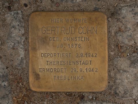Stolperstein Gertrud Cohn