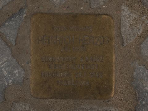 Stolperstein Heinrich Herzog, 22.07.2012