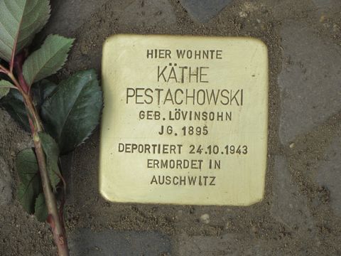 Stolperstein Käthe Pestachowski, April 2013 (Bild: Stolpersteine-Initiative CW, Siebold)