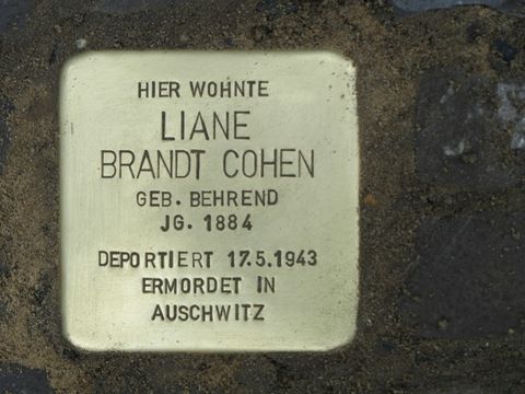 Stolperstein Liane Brandt Cohen, Foto: F. Siebold, April 2013