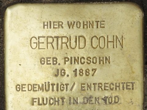 Stolperstein Gertrud Cohn, 2014