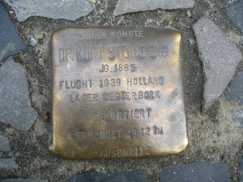 Stolperstein für Dr. Kurt Sternberg, 05.04.11