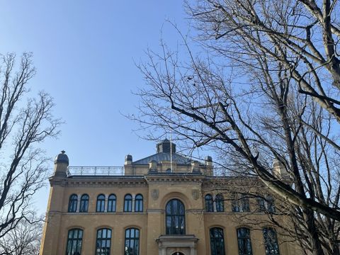 265. Kiezspaziergang