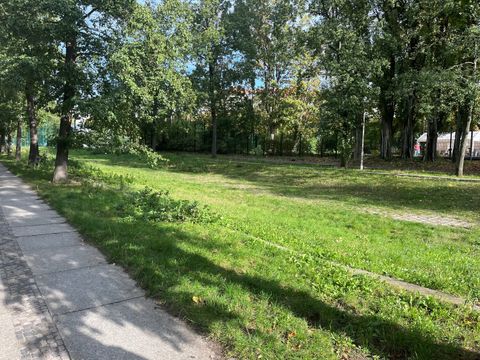 260. Kiezspaziergang- Nasses Dreieck