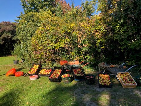 Gartenarbeitsschule „Ilse Demme“ Kiezspaziergang2