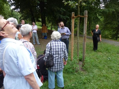 Baum des Jahres, 9.8.2014, Foto: KHMM